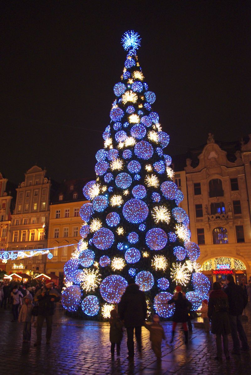 Wrocławski rynek: Napad na choinkę - Fot. Katarzyna Górowicz
