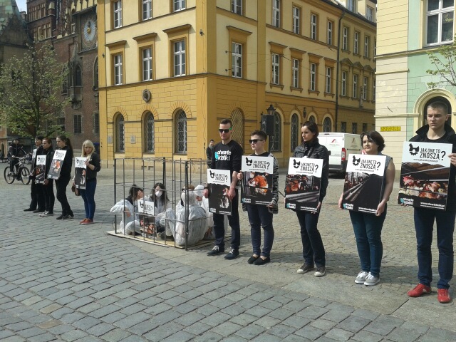Weszli do klatki w obronie kur (Foto) - 1