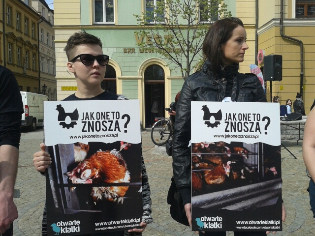 Weszli do klatki w obronie kur (Foto) - 2