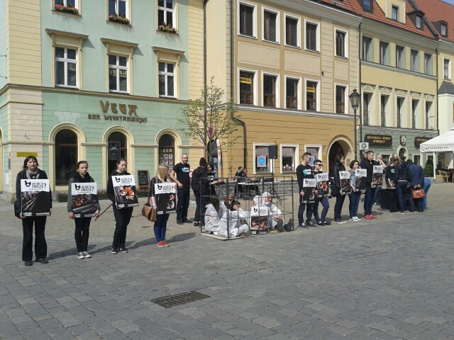 Weszli do klatki w obronie kur (Foto) - 4