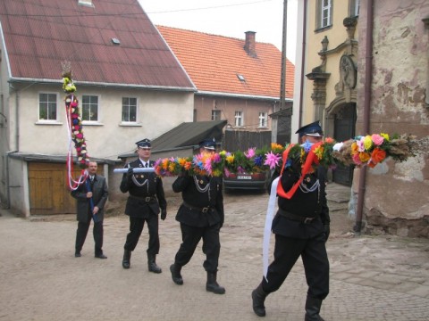 Gigantyczne palmy na koniec postu - 2