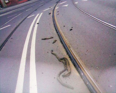 Wrocławskie tramwaje toną w gęstej mazi - 0