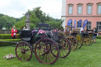 Festiwal kwiatów w Książu - 11