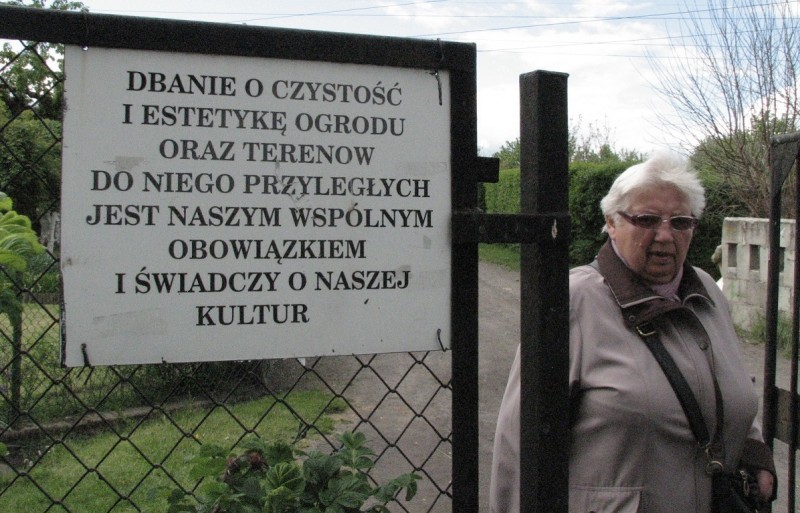 Bezdomni okupują ogródki działkowe – fot. Michał Wyszowski