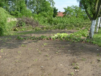 Liczą straty po powodzi (Posłuchaj i zobacz) - 1