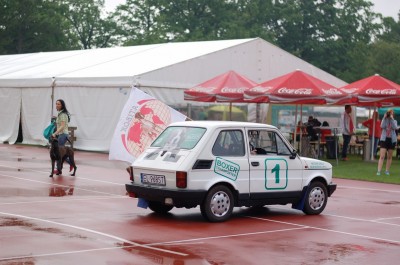 Światowa wystawa bokserów - 27