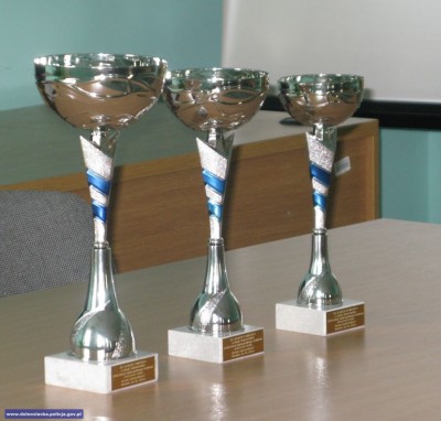 Policjant Ruchu Drogowego 2014: Wojewódzki finał konkursu (ZDJĘCIA) - 10