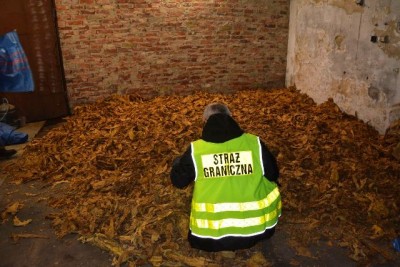 Zlikwidowali nielegalą fabrykę. Znaleźli 5,5 tony tytoniu - 1