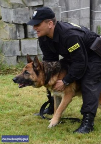 Policyjne psy zdawały egzamin. Wszystkie dostały atesty (Foto) - 1