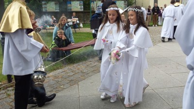 Procesje przeszły ulicami miast (ZDJĘCIA) - 9