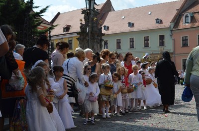 Procesje przeszły ulicami miast (ZDJĘCIA) - 15