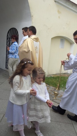 Procesje przeszły ulicami miast (ZDJĘCIA) - 6