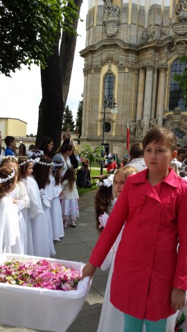 Procesje przeszły ulicami miast (ZDJĘCIA) - 7