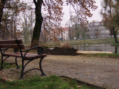 Legnica: Wielkie sadzenie (Posłuchaj i Zobacz) - 0