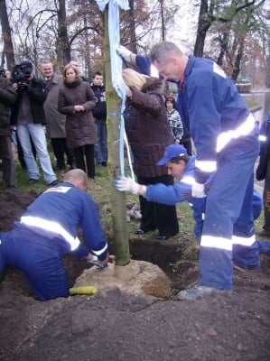 Legnica: Wielkie sadzenie (Posłuchaj i Zobacz) - 2
