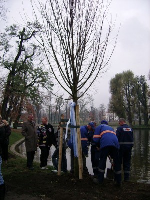Legnica: Wielkie sadzenie (Posłuchaj i Zobacz) - 3