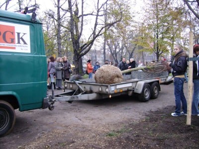 Legnica: Wielkie sadzenie (Posłuchaj i Zobacz) - 5