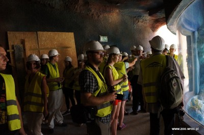 Ile będą kosztowały bilety do Afrykarium? - 2