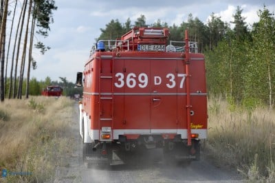 Las w ogniu. 30 jednostek i samoloty w akcji (ZDJĘCIA) - 6
