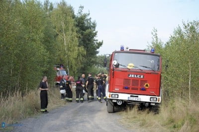 Las w ogniu. 30 jednostek i samoloty w akcji (ZDJĘCIA) - 7