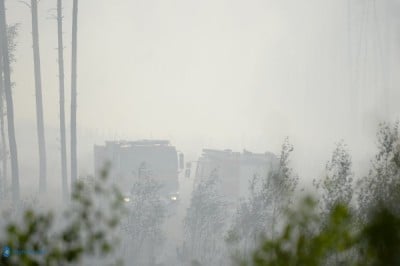 Las w ogniu. 30 jednostek i samoloty w akcji (ZDJĘCIA) - 8