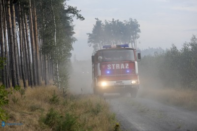 Las w ogniu. 30 jednostek i samoloty w akcji (ZDJĘCIA) - 10