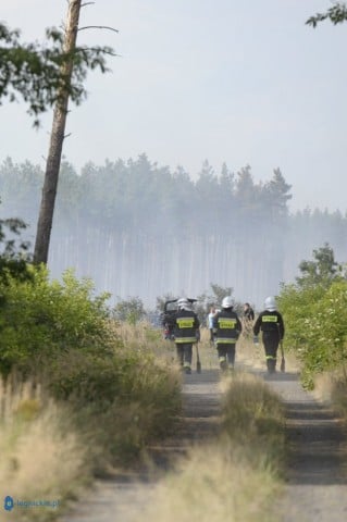 Las w ogniu. 30 jednostek i samoloty w akcji (ZDJĘCIA) - 2