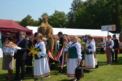 DRJ – Dożynki Powiatowe w Wambierzycach - 15