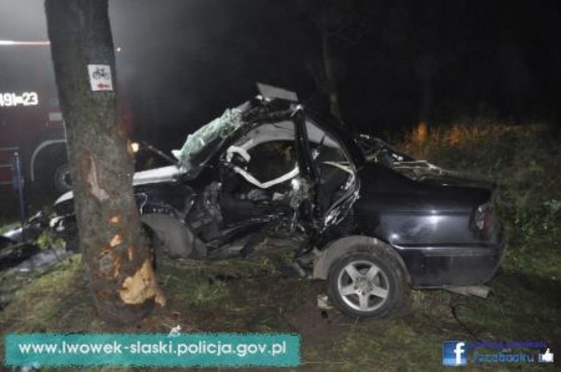 24-latek wjechał w drzewo. Zginął na miejscu (ZDJĘCIA) - fot. Policja Lwówek Śląski