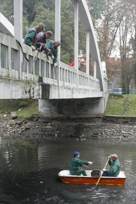 Świdnica: Kosze na dnie rzeki (Posłuchaj) - 4