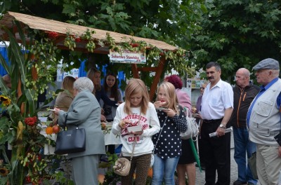 DRJ: Dożynki w Strzegomiu - 14