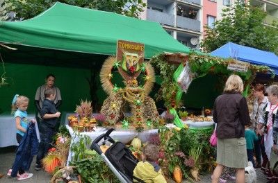 DRJ: Dożynki w Strzegomiu - 16