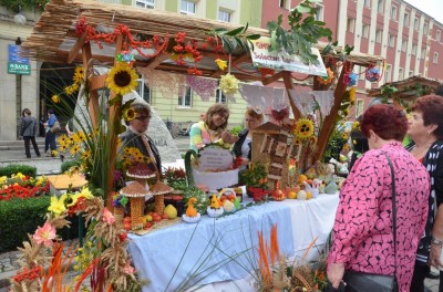 DRJ: Dożynki w Strzegomiu - 18