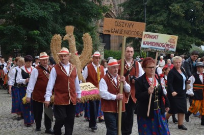DRJ: Dożynki w Strzegomiu - 20