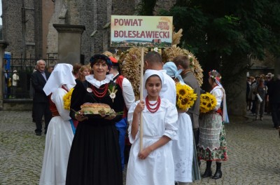 DRJ: Dożynki w Strzegomiu - 23