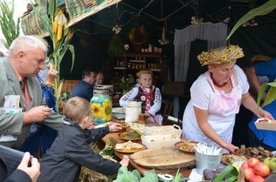 DRJ: Dożynki w Strzegomiu - 32