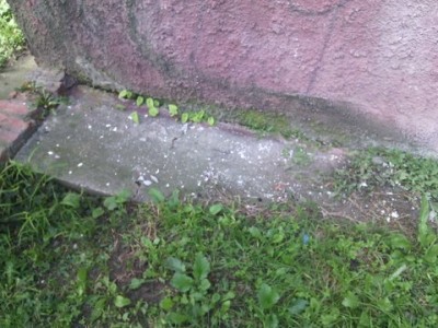 Nowy Dwór z azbestem (POSŁUCHAJ) - 2