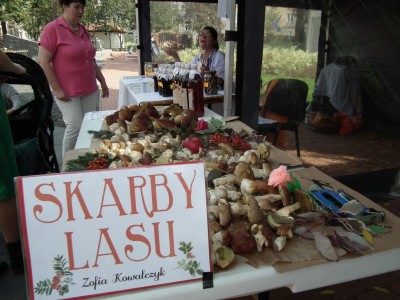 DRJ: KRZYWY KOMIN - 8