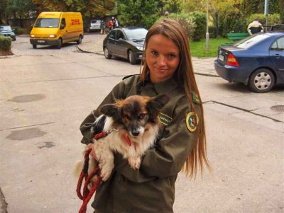Coraz więcej przypadków znęcania się nad psami na Dolnym Śląsku - 1