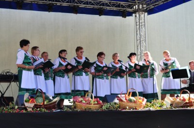 DRJ: Święto Owoców i Warzyw - 13