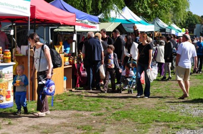 DRJ: Święto Owoców i Warzyw - 22