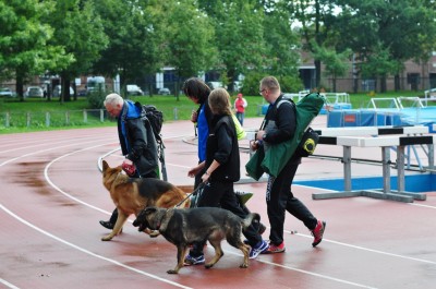 DRJ: 22 Międzynarodowa Wystawa Psów Rasowych - 11