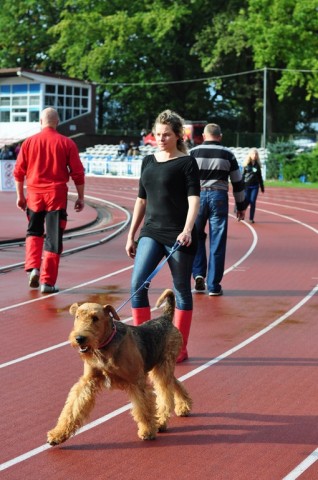 DRJ: 22 Międzynarodowa Wystawa Psów Rasowych - 12