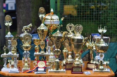 DRJ: 22 Międzynarodowa Wystawa Psów Rasowych - 19