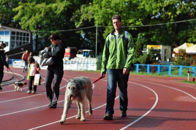 DRJ: 22 Międzynarodowa Wystawa Psów Rasowych - 35
