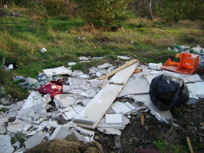 W czynie społecznym posprzątał, grozi mu za to sąd (SŁUCHAJ) - 4