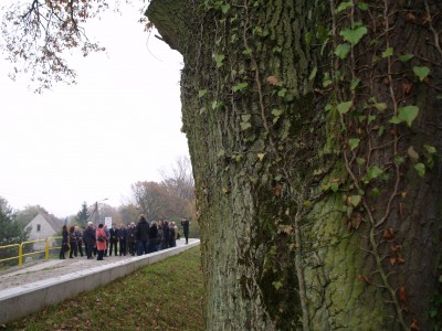 Wyremontowane wały w Jelczu-Laskowicach (ZDJĘCIA) - 2
