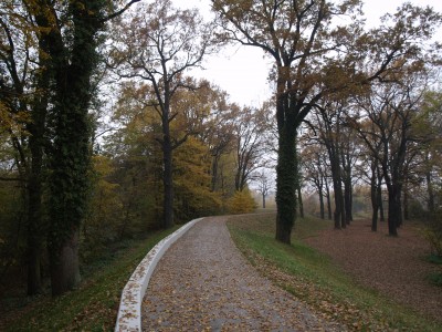 Wyremontowane wały w Jelczu-Laskowicach (ZDJĘCIA) - 3