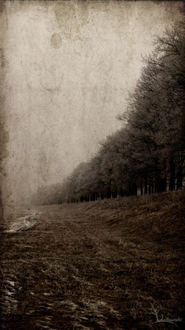Zobacz bezsenność Antykreatora (GALERIA ZDJĘĆ) - 14