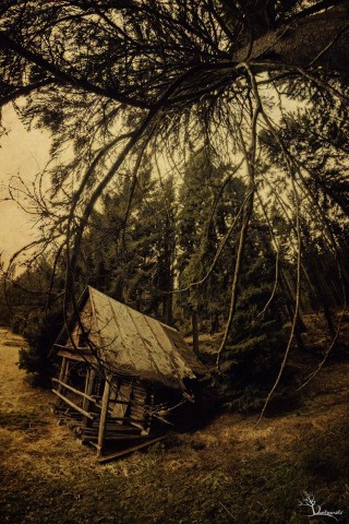 Zobacz bezsenność Antykreatora (GALERIA ZDJĘĆ) - 16